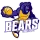 Bears logo