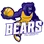 Bears logo