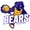 Bears logo