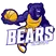 Bears logo