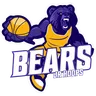 Bears logo