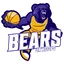 Bears logo