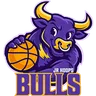 Bulls logo