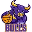 Bulls logo