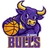 Bulls logo