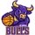 Bulls logo