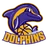 Dolphins logo