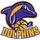 Dolphins logo