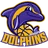Dolphins logo