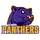 Panthers logo