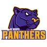 Panthers logo
