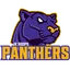 Panthers logo