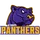 Panthers logo