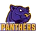 Panthers logo