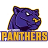Panthers logo