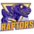 Raptors logo